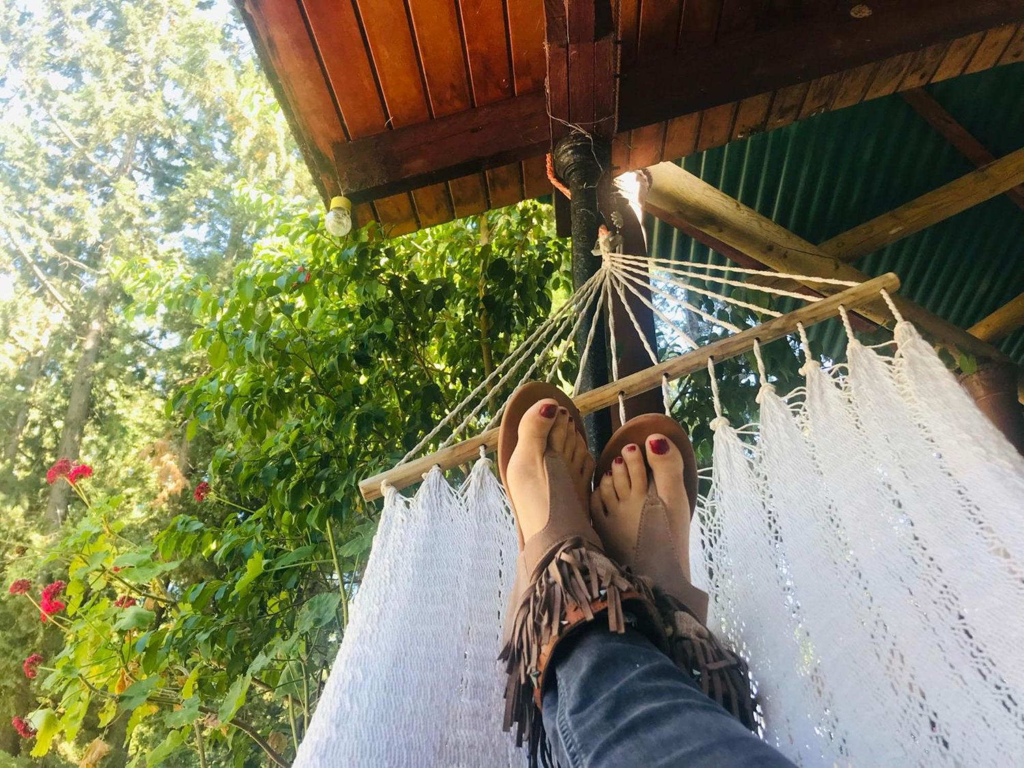 CASA RURAL CON PISCINA Viajar con mascota Gaucín Exterior foto